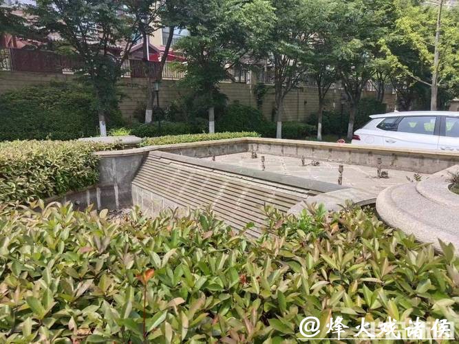 阳台漫笔 | 这个业委会为何“黄”了